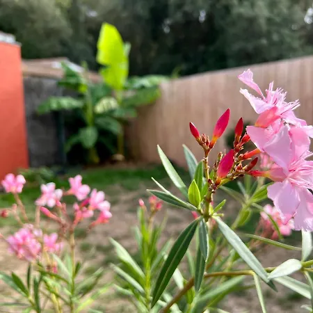 Maison   embruns De Mer   à 800 M De La