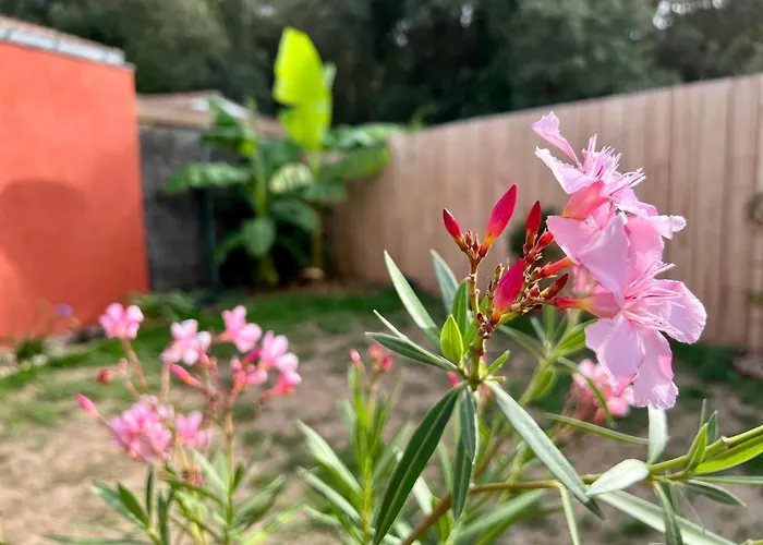 Maison « embruns De Mer » A 800 M De La